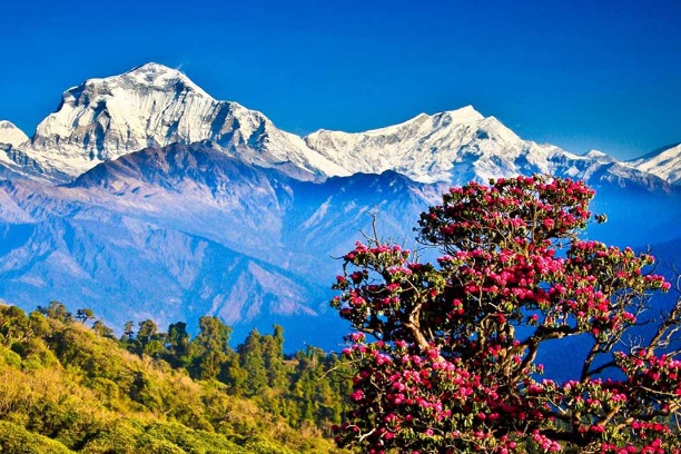 Bhutan Himalayan Landscape