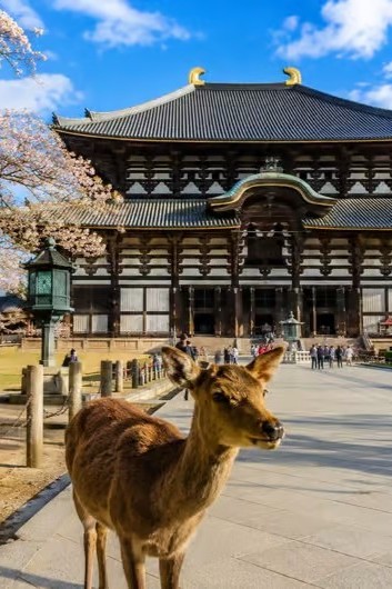NARA