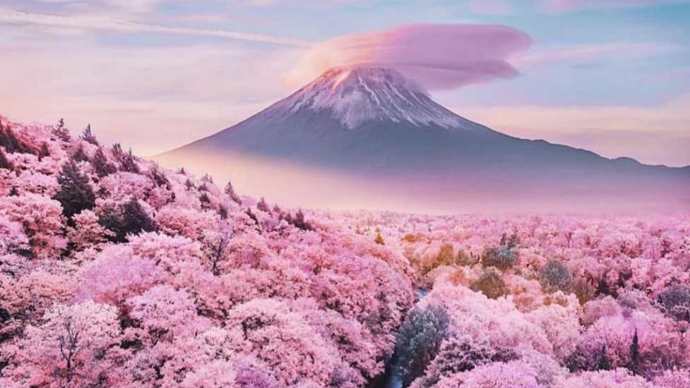 listing-details-carousel