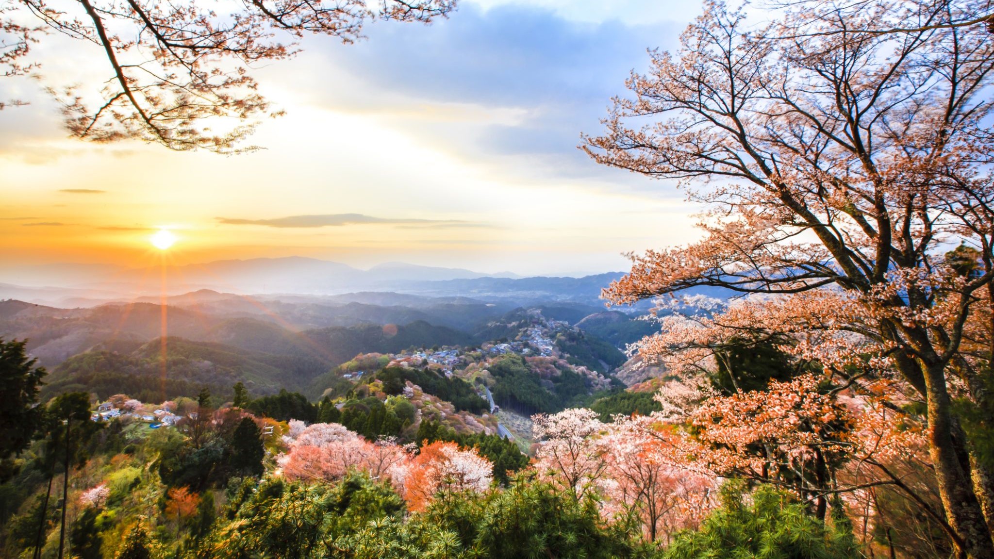 listing-details-carousel